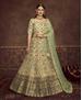 Picture of Marvelous Mint Green Lehenga Choli