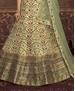 Picture of Marvelous Mint Green Lehenga Choli