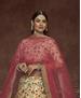 Picture of Pleasing Beige Lehenga Choli