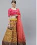 Picture of Lovely Pink Lehenga Choli