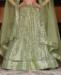 Picture of Lovely Pista Lehenga Choli