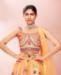 Picture of Gorgeous Mustard Lehenga Choli