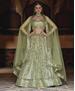 Picture of Lovely Pista Lehenga Choli