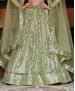 Picture of Lovely Pista Lehenga Choli