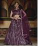 Picture of Ideal Wine Lehenga Choli