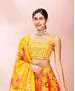 Picture of Classy Yellow Lehenga Choli