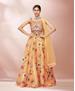 Picture of Gorgeous Mustard Lehenga Choli