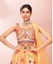 Picture of Gorgeous Mustard Lehenga Choli