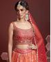 Picture of Excellent Orange Lehenga Choli