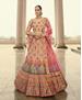 Picture of Fascinating Beige Lehenga Choli