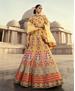 Picture of Beauteous Yellow Lehenga Choli