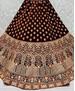 Picture of Ravishing Rust Lehenga Choli