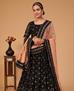 Picture of Amazing Black Lehenga Choli