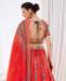 Picture of Ideal Red Lehenga Choli