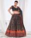 Picture of Shapely Black Lehenga Choli