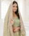 Picture of Amazing Pista Designer Saree