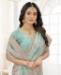 Picture of Amazing Sky Blue Designer Saree