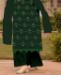 Picture of Pretty Green Straight Cut Salwar Kameez