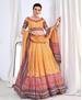 Picture of Bewitching Yellow Lehenga Choli