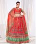 Picture of Ideal Red Lehenga Choli