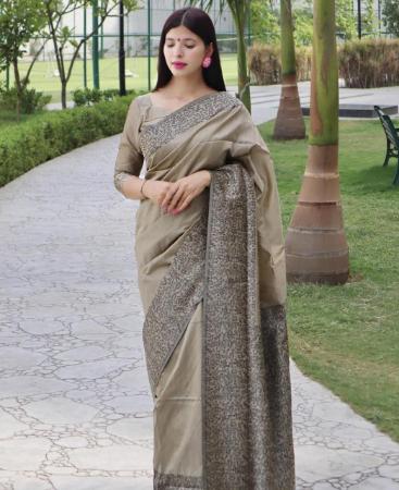 Picture of Delightful Grey Casual Saree