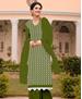 Picture of Lovely Mahendi Straight Cut Salwar Kameez