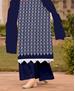 Picture of Classy Blue Straight Cut Salwar Kameez