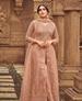 Picture of Marvelous Brown Straight Cut Salwar Kameez