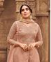 Picture of Marvelous Brown Straight Cut Salwar Kameez