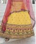 Picture of Graceful Yellow Lehenga Choli