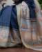 Picture of Shapely Blue Casual Saree