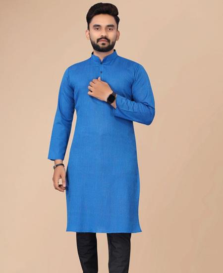 Picture of Shapely Blue Kurtas