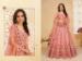 Picture of Pretty Pink Lehenga Choli