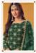 Picture of Alluring Georgette Jade Straight Cut Salwar Kameez