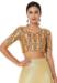 Picture of Lovely Silk Golden Designer Blouse