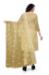 Picture of Excellent Soft Beige Straight Cut Salwar Kameez