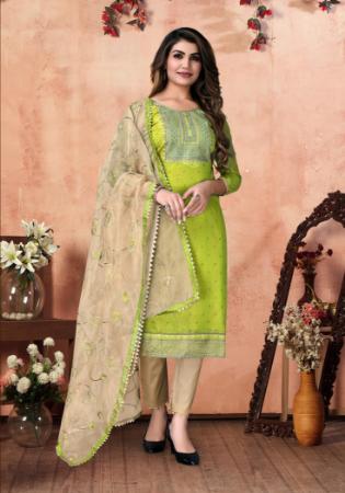 Picture of Radiant Cotton Lawn Green Straight Cut Salwar Kameez