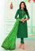 Picture of Beautiful Cotton Jade Straight Cut Salwar Kameez