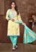 Picture of Fine Silk Khaki Straight Cut Salwar Kameez