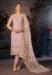 Picture of Fine Net Rosy Brown Straight Cut Salwar Kameez