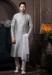 Picture of Bewitching Silk Light Slate Grey Kurtas