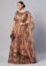 Picture of Amazing Net Tan Party Wear Gown