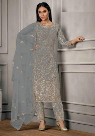 Picture of Radiant Net Slate Grey Straight Cut Salwar Kameez