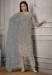 Picture of Radiant Net Slate Grey Straight Cut Salwar Kameez