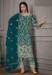 Picture of Pleasing Net Midnight Blue Straight Cut Salwar Kameez