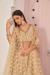 Picture of Statuesque Net Burly Wood Lehenga Choli