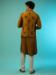 Picture of Lovely Rayon Saddle Brown Kurtas