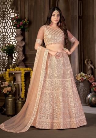 Picture of Radiant Net Tan Lehenga Choli