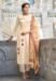 Picture of Taking Rayon Wheat Readymade Salwar Kameez