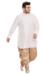 Picture of Admirable Silk White Kurtas